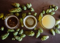 Dry hopping thuis werkt anders dan je denkt